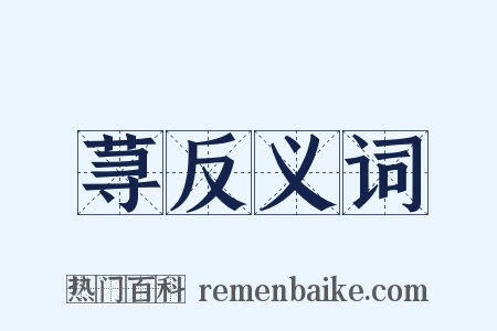 荨反义词是什么意思的图片